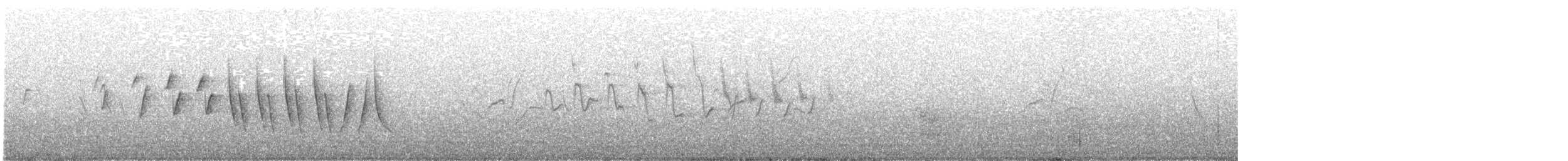 Northern Waterthrush - ML565441271