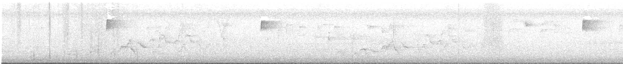 Дрізд-короткодзьоб Cвенсона - ML565445391