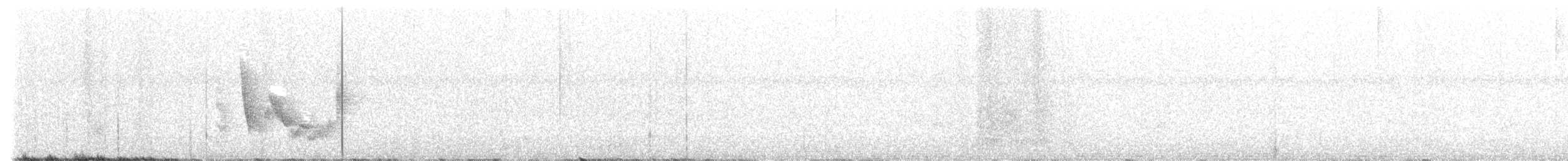 White-eyed Vireo - ML565470511