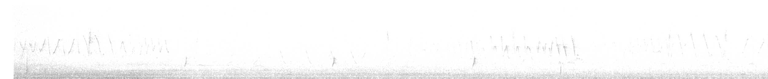 Brown-crested Flycatcher - ML565497891
