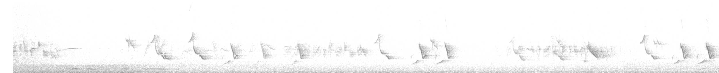Cardinal rouge - ML565499561
