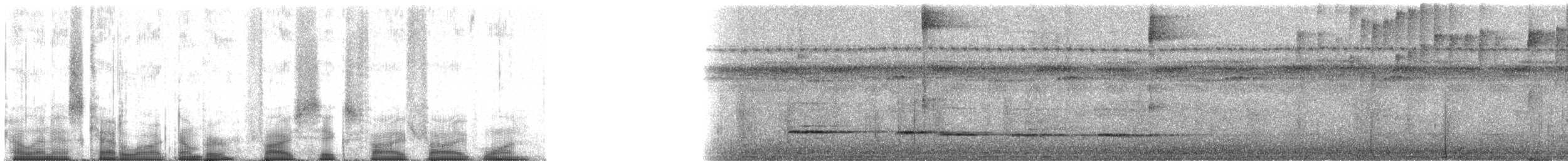 Turuncu Gagalı Çalı Serçesi [aurantiirostris grubu] - ML56551