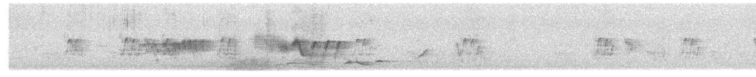 Горихвістка чорна (підвид gibraltariensis/aterrimus) - ML565544681