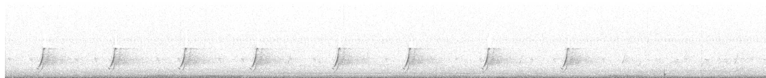 斑胸秧雞 - ML565590851