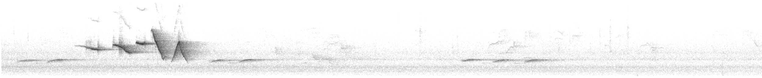 Swainson's Warbler - ML565674581