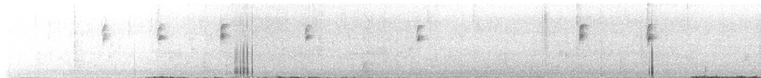 Каролинский крапивник - ML565697091