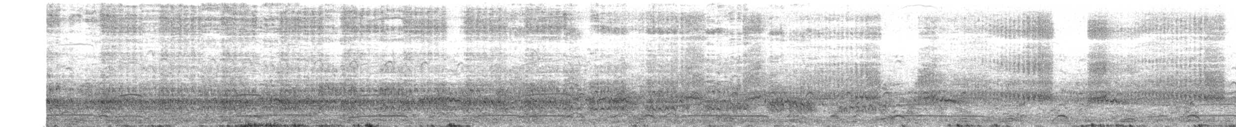 Cassin's Auklet - ML565748851