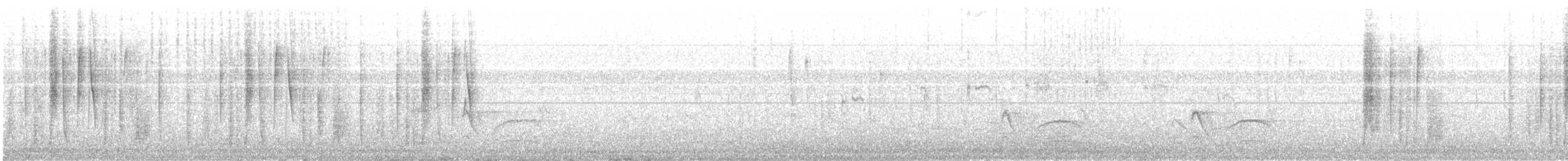 kometkolibri - ML565810191