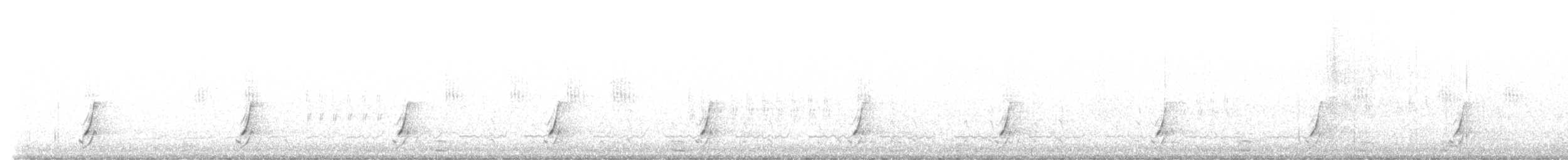 斑胸秧雞 - ML565833401