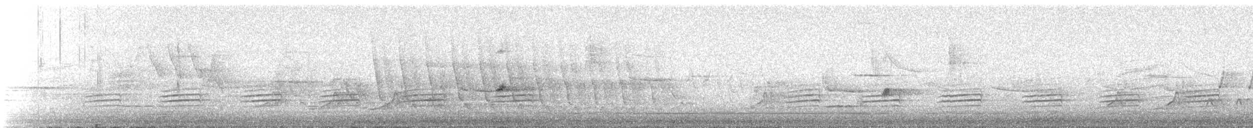 Red-breasted Nuthatch - ML565837581