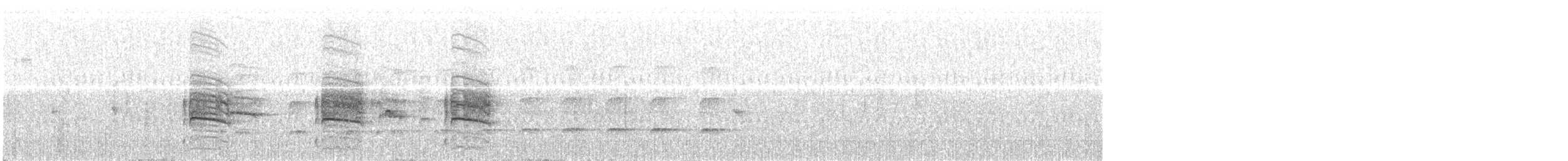 muskatnonne (nisoria gr.) - ML565862801
