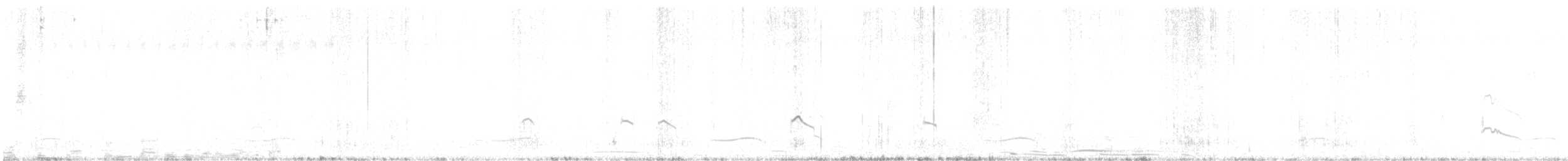 Little Ringed Plover - ML565952701