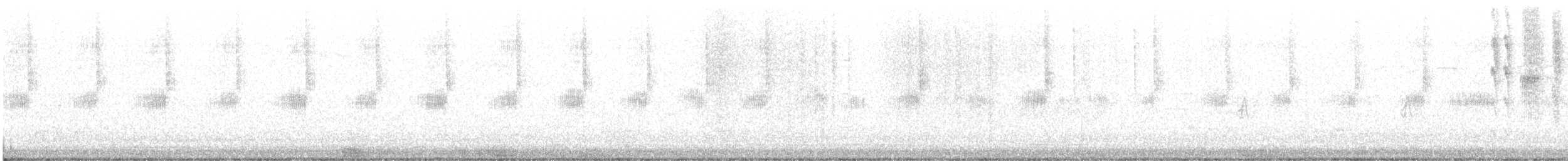 Kara Boğazlı Kolibri - ML565955801
