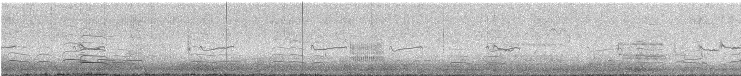 Schlammtreter (inornata) - ML565961501