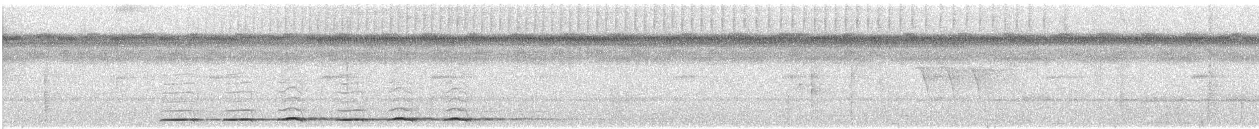 Мурашниця плямиста (підвид macularius) - ML565963281