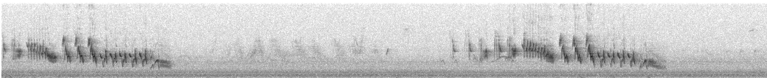 African Chaffinch (African) - ML566001051