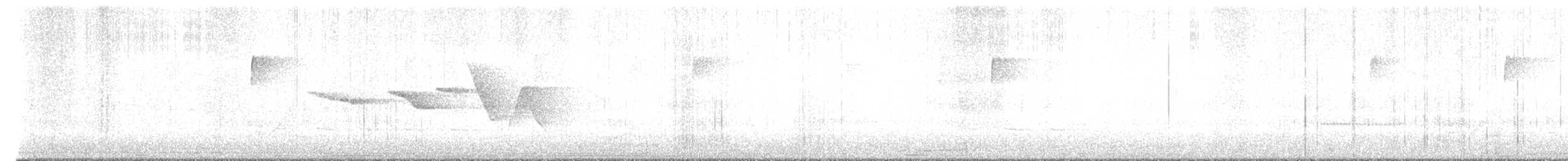 Swainson's Warbler - ML566019491