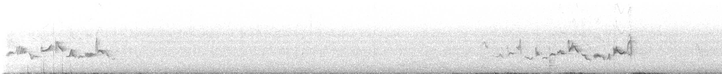 Eastern/Western Warbling Vireo - ML566058171