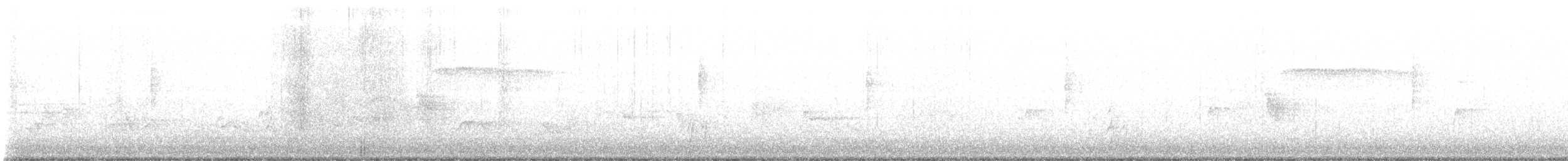 Дрізд-короткодзьоб Cвенсона - ML566076341