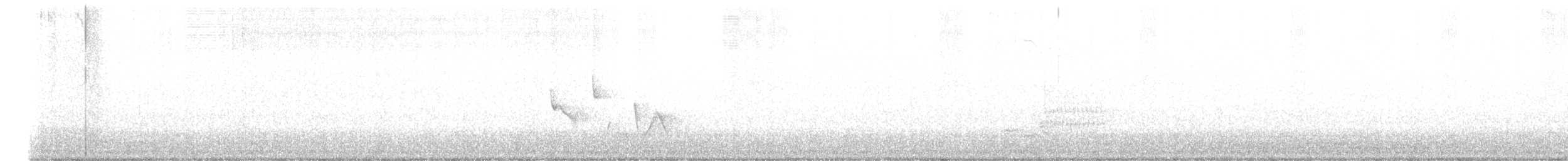 White-eyed Vireo - ML566170551
