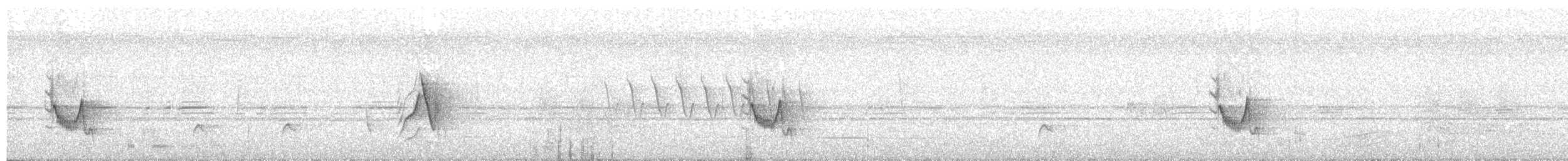 Weißstirnvireo (notius/montanus) - ML56620041