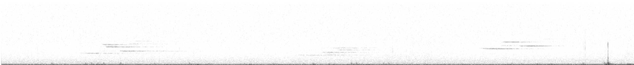 Дрізд-короткодзьоб плямистоволий - ML566229001