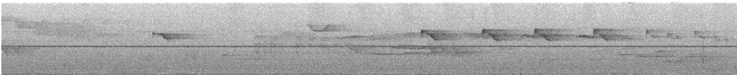 Рибалочка синьобокий (підвид nigrirostris) - ML566316201