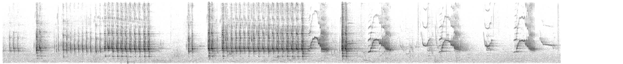 Vulturine Guineafowl - ML566317771