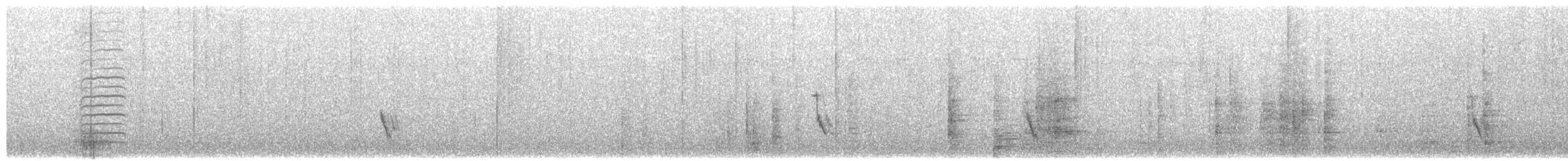 Camaroptère à tête grise (groupe brevicaudata) - ML566320161