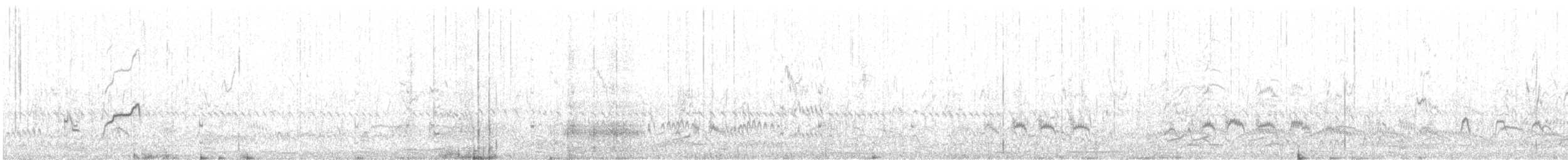 Zebra Ördeği - ML566344051