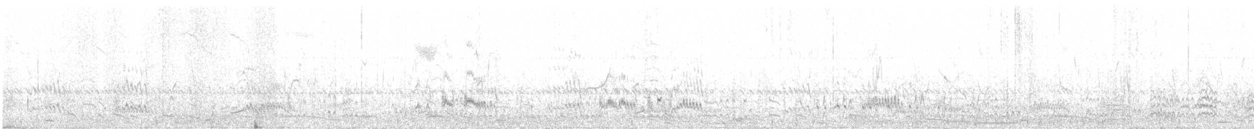 Pink-eared Duck - ML566345511