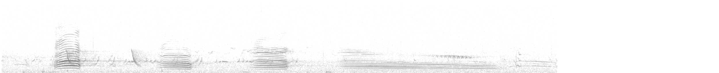 Australian Raven - ML566345601