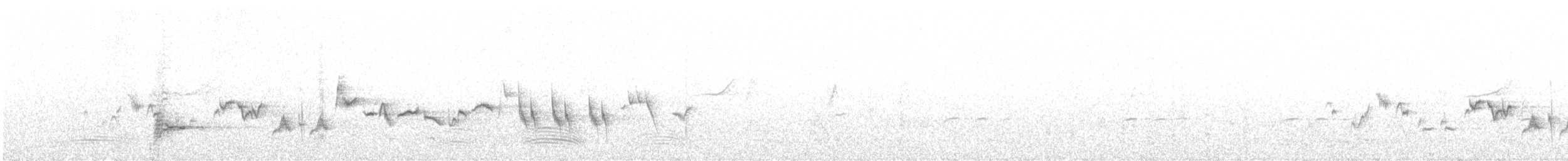 Séricorne timide - ML566345851