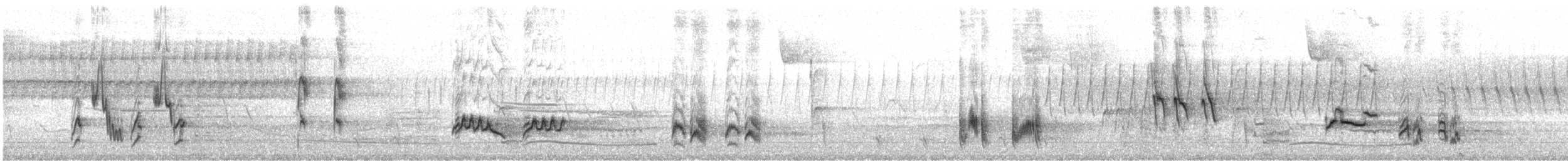 Brown Thrasher - ML566351841