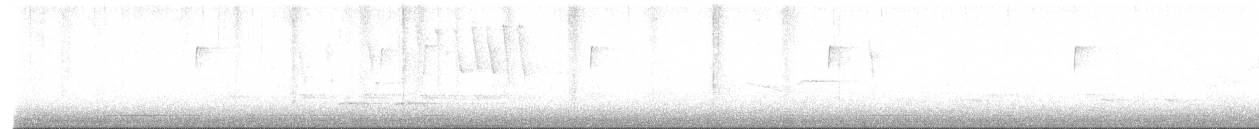 Tennessee Warbler - ML566367301