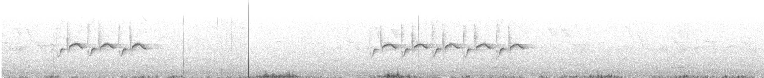 svartmeis (britannicus/hibernicus) - ML566409971