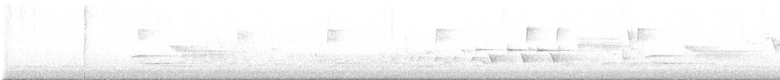 Yellow-throated Warbler - ML566442361
