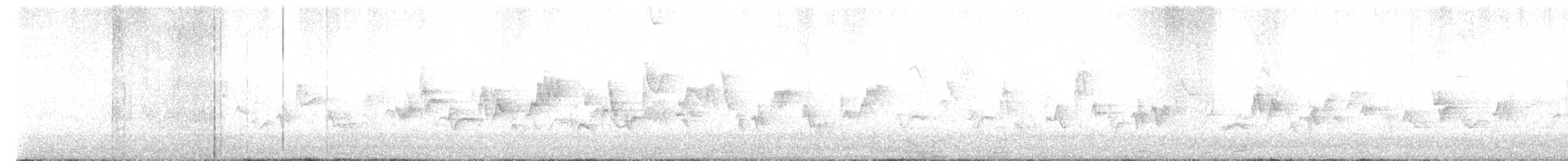 Western Warbling Vireo - ML566464951