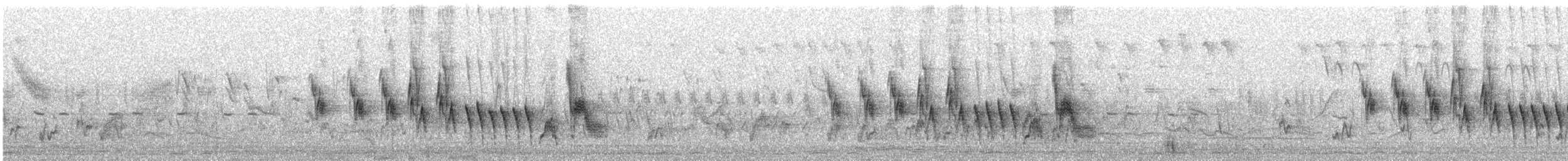 African Chaffinch (African) - ML566474741