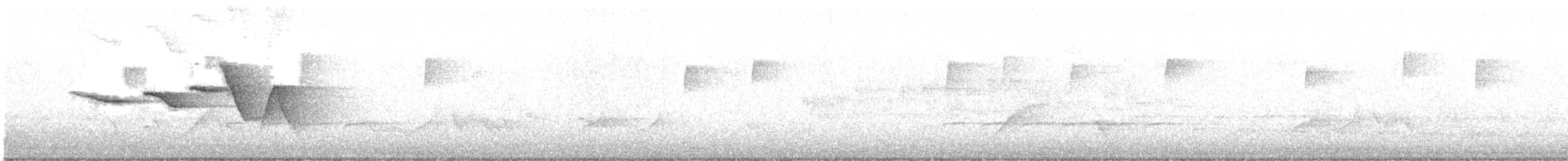 Swainson's Warbler - ML566479801