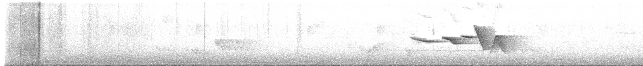 Swainson's Warbler - ML566481241