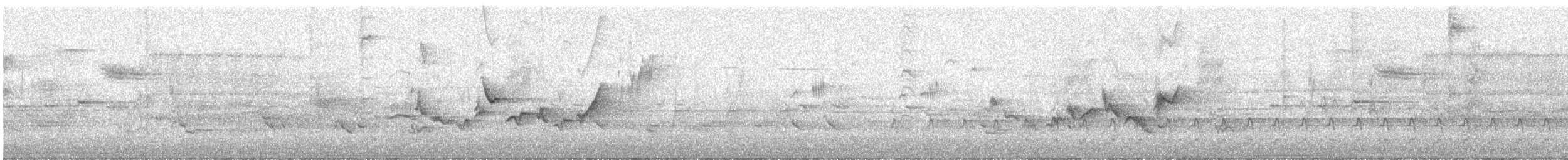 Віреон світлобровий (підвид gilvus) - ML56652151