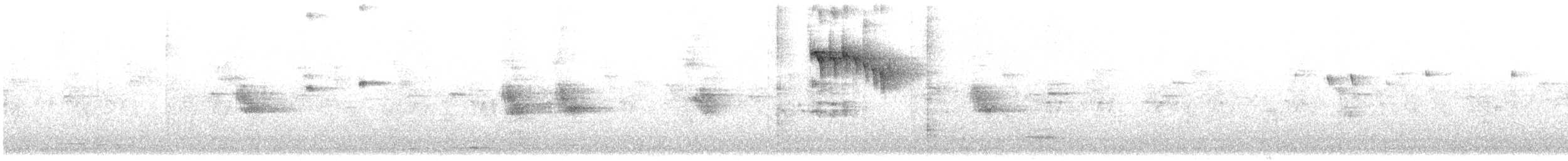 ニシヒメアマツバメ - ML566531971