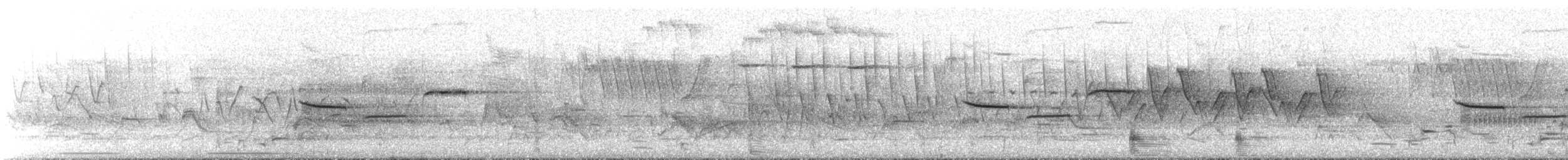 カロライナコガラ - ML566544991
