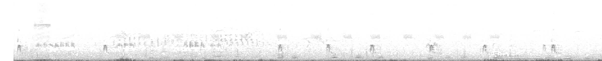 東方環頸鴴(alexandrinus/nihonensis) - ML566547661