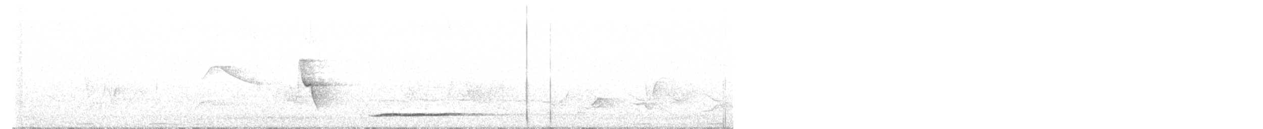 Thicket Tinamou - ML566606511