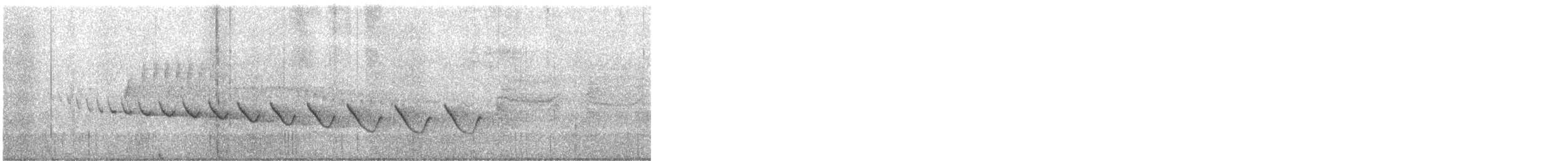 Canyon Wren - ML566606981