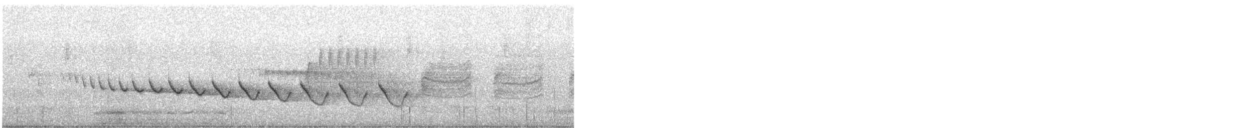 Canyon Wren - ML566606991