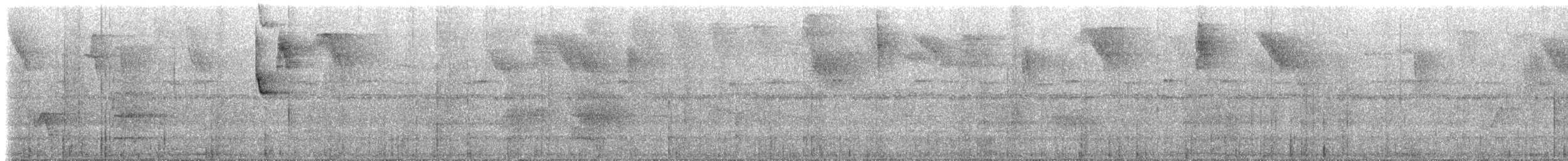 Colibri à bec noir - ML566637861