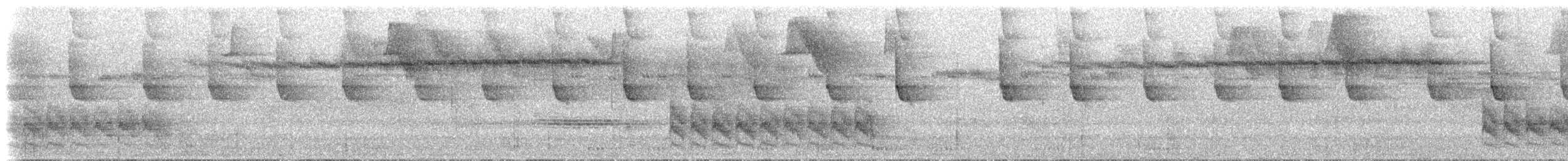 Colibri à bec noir - ML566656921